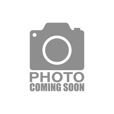 DISCHI FRENO DEL/BG4344